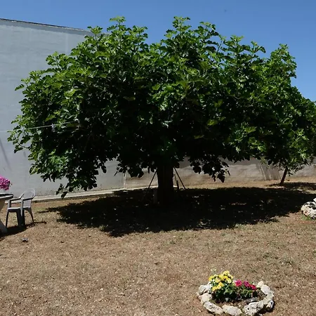 Il Giardino Dei Ricordi Lejlighed Alberobello